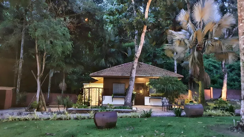 The Cottage in the rainforest at Mori House - Image 1