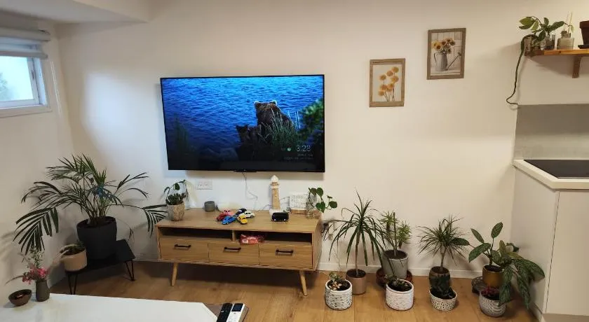 המקום של מוש - Image 1