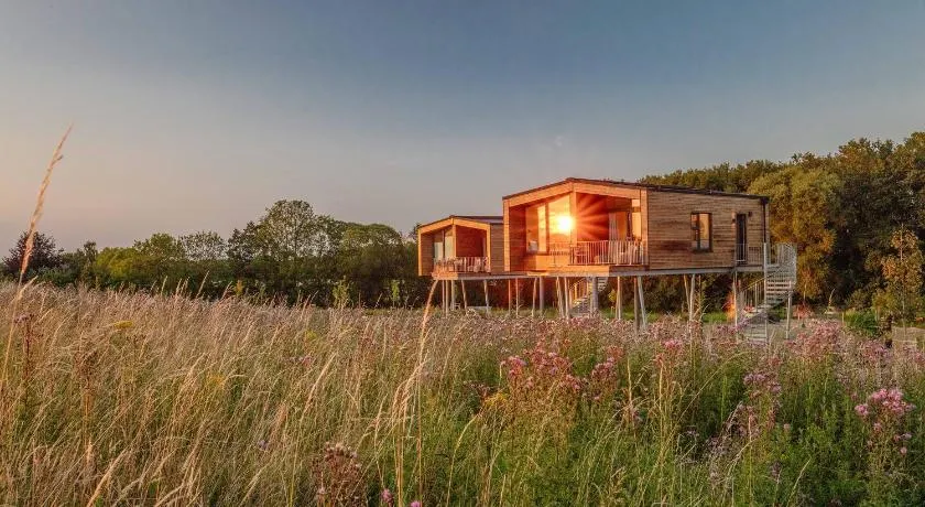 Ostsee Baumhaushotel - Auf Höhe der Baumkronen - Image 1