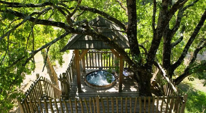 La Ferme de Sirguet - Cabane Jardin & Spa - Image 1