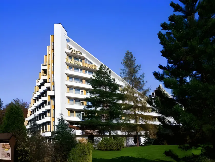 Wilga - Image 1