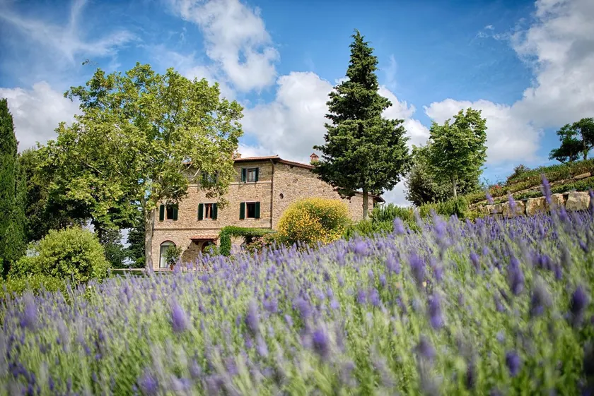 Chianti de lujo con dos habitaciones - Apartamento para 5 personas en Panzano - Image 1