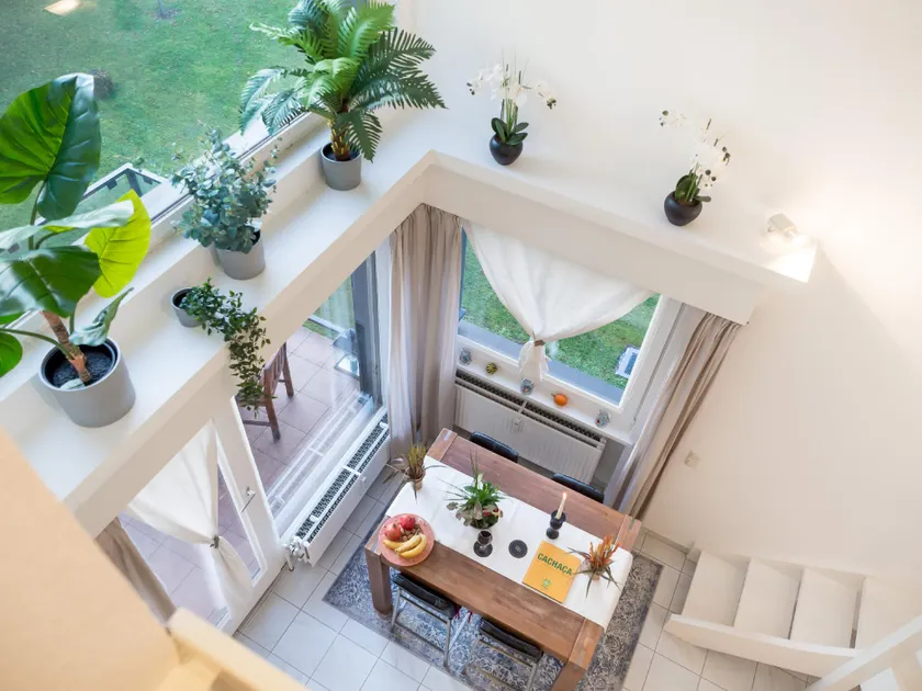 THE DUPLEX - Image 1