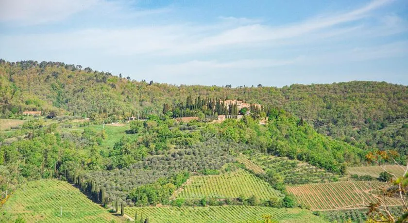 Chiantissima, Tuscany - Image 1