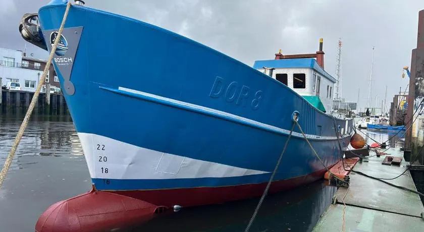 MV Marlies - Image 1
