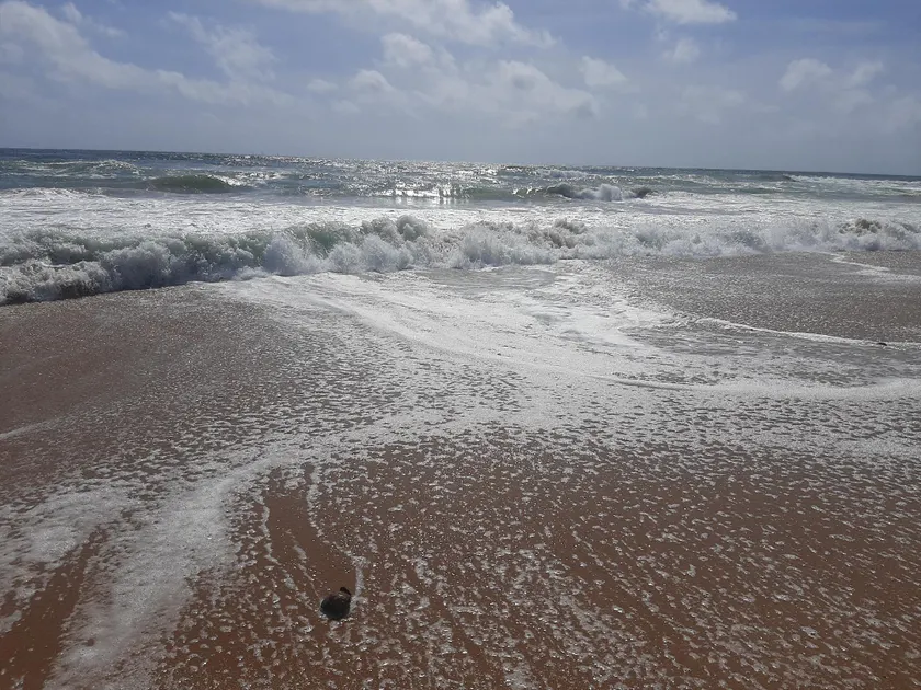 Beach front Apartment - Image 1