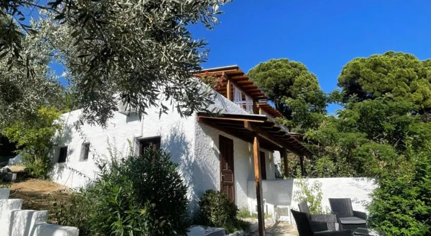 Rastoni Apartments Skiathos - Image 1