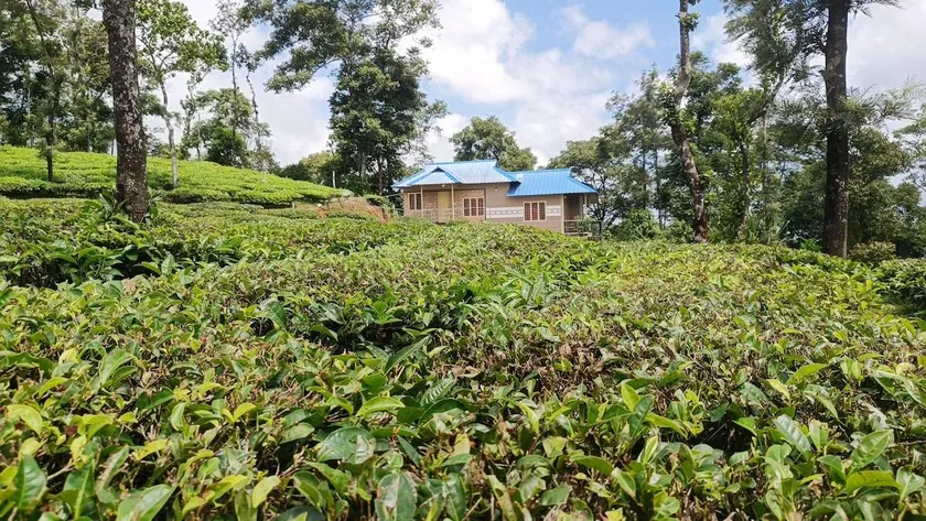 Tea Garden - Budget cottage in Vagamon, ideal for small groups - Image 1
