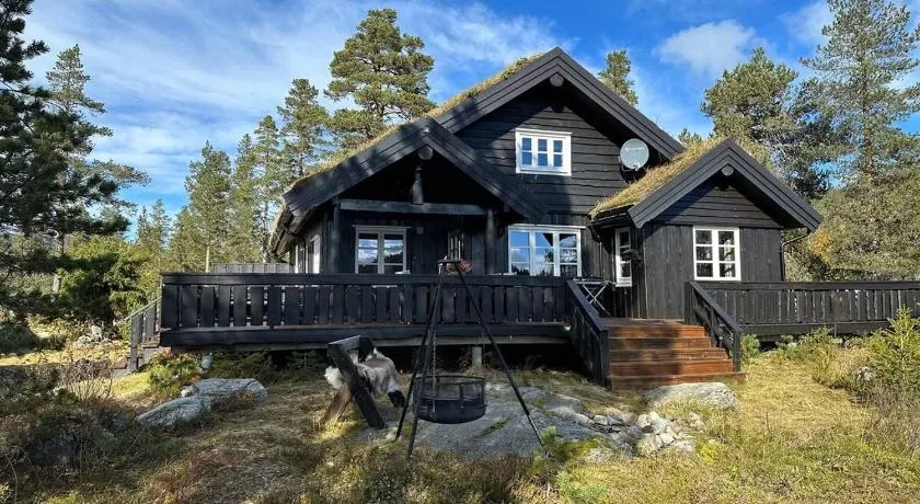 Family cabin with sauna in Eggedal - Image 1