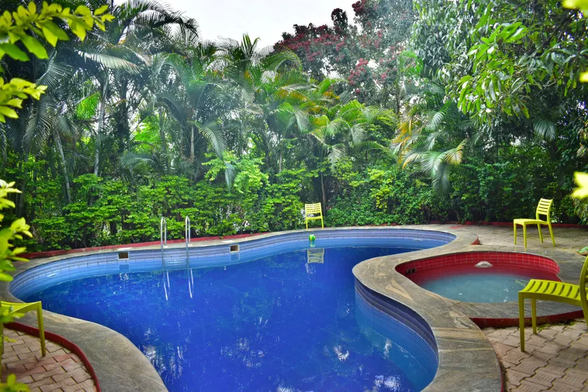 Dolphin Resort - Image 1