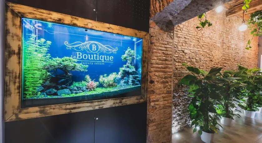 Le Boutique Luxury Rooms diffused in historical center - Image 1