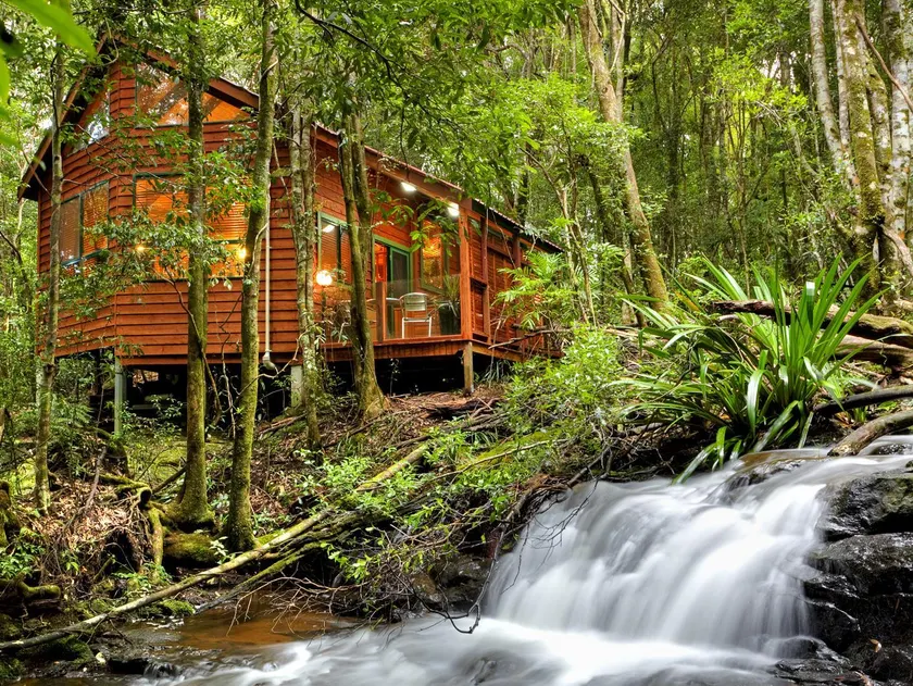 The Mouses House Rainforest Retreat - Image 1