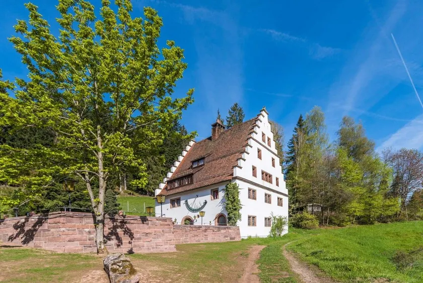 Herrenhaus Bärenschlössle 1 - 3500 m2 - 18 Personen - Image 1