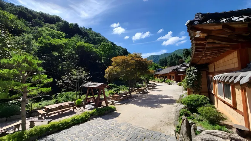 Gapyeong Dume Mountain Pension - Image 1
