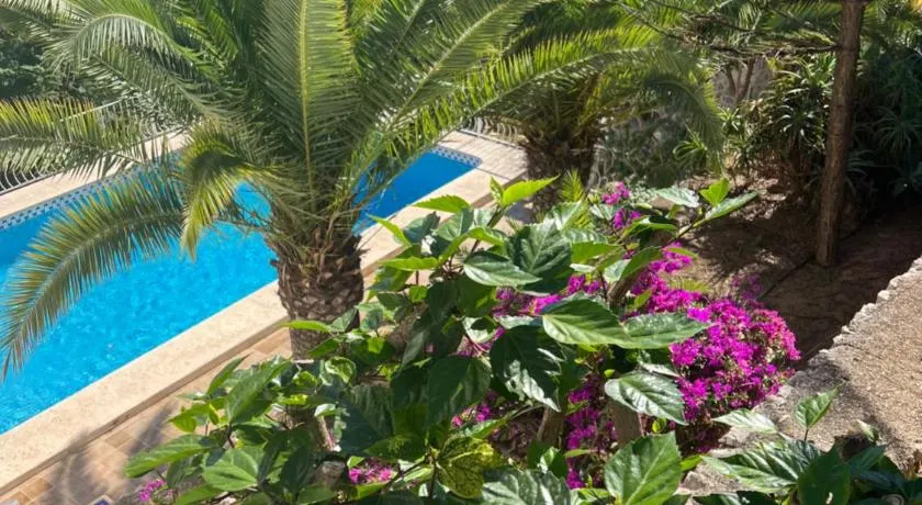 Amazing view villa - Image 1