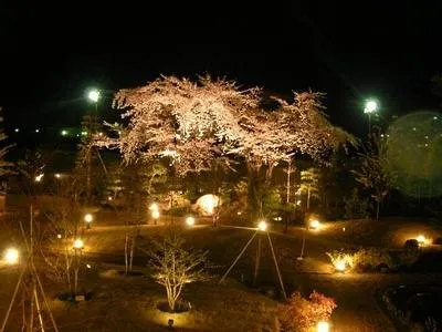 Hotel Seifuen - Image 1