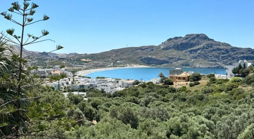 Olive Grove - Image 1