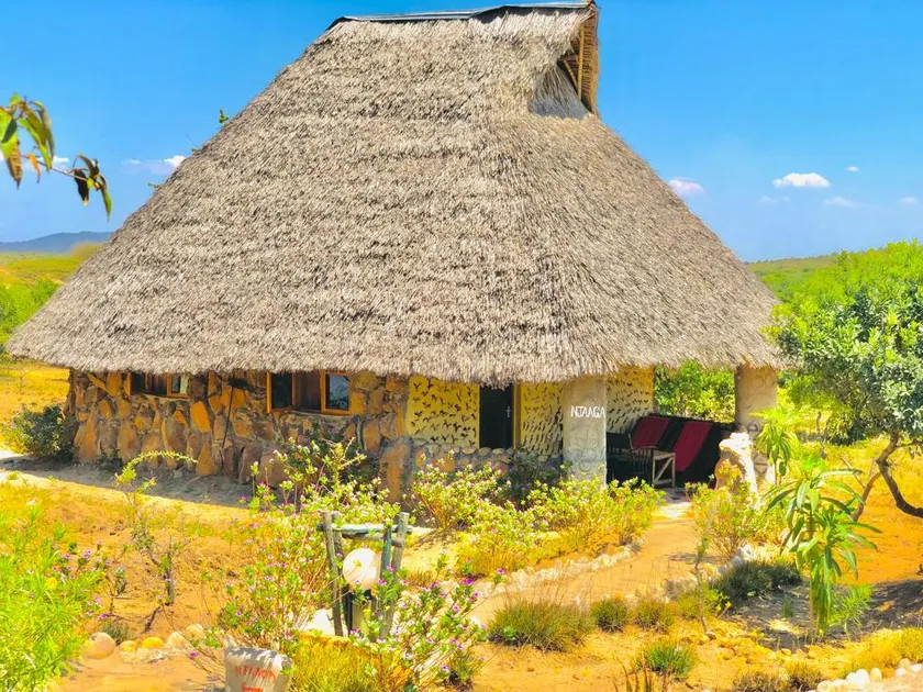 Explore mara camp - Image 1