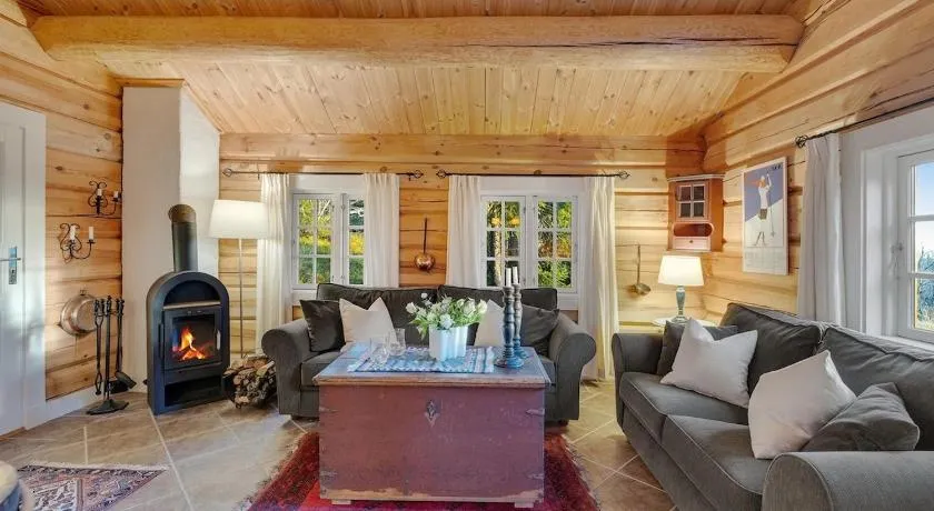 Log cabin in Valdres Fireplace Sauna 1000 m above sea level - Image 1
