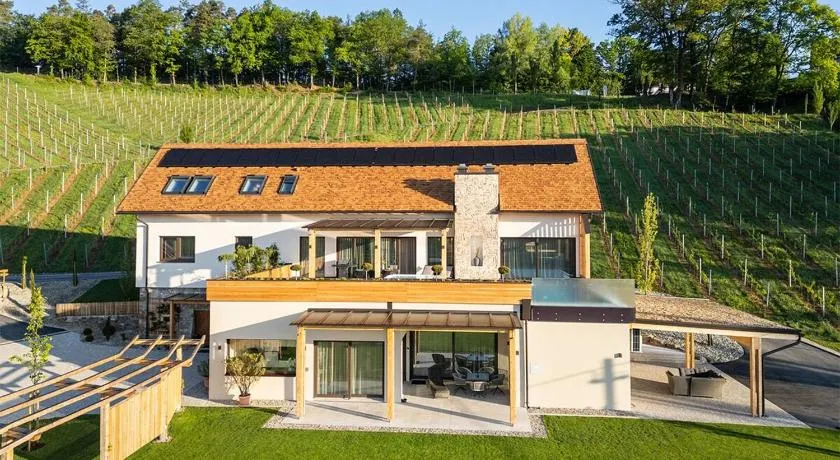 steiRerBLiCke - Domaine Sernau Sauvignon - Image 1