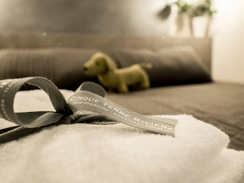 Camaella Luxury Studio with AC - Image 1