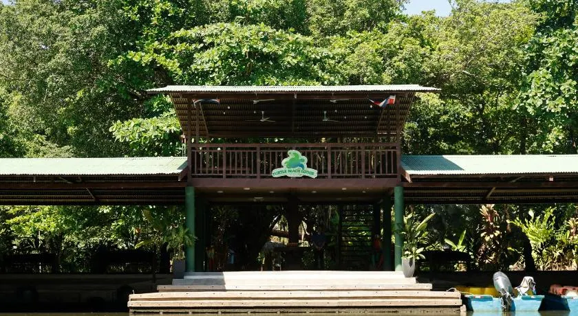 Turtle Beach Lodge - Image 1