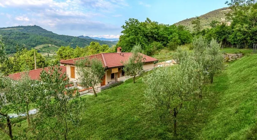Zelkonn House - Image 1