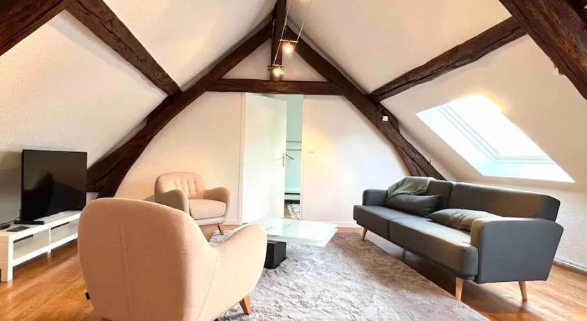 Grand appartement en centre ville - Image 1