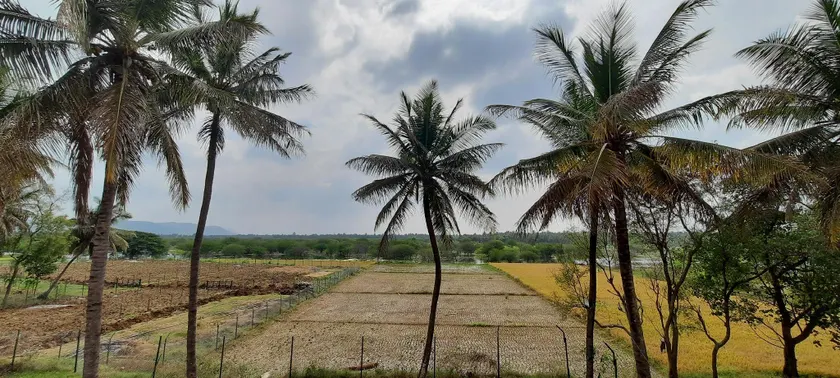 JJ Farms And Home Stay - Image 1
