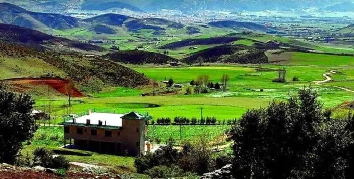 Le Chêne d´Azrou - Image 1