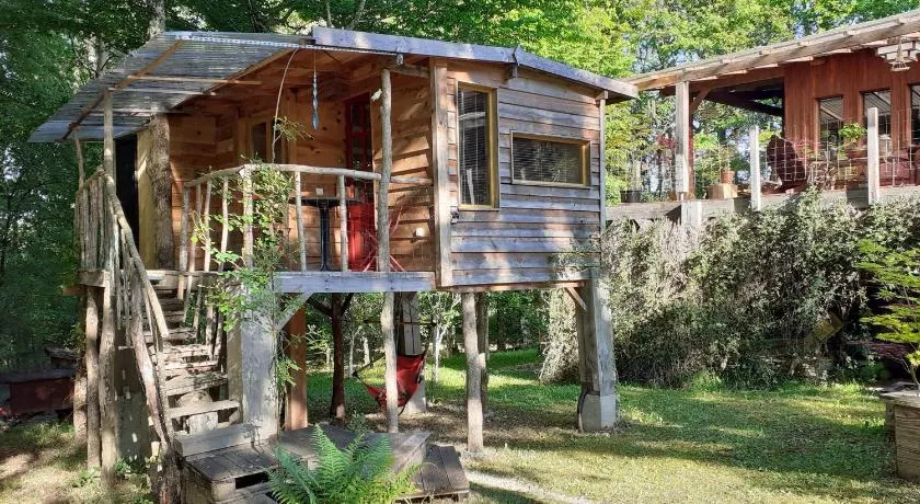La cabane de l'oiseau - Image 1