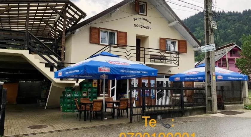Pensiunea Morosanu - Image 1