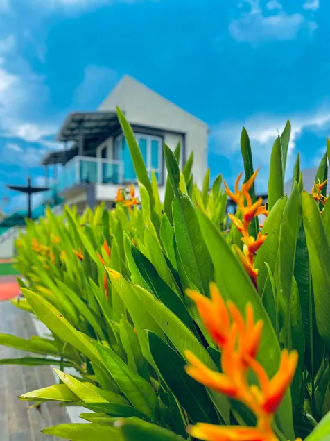 Tijami Villa & Resort - Image 1