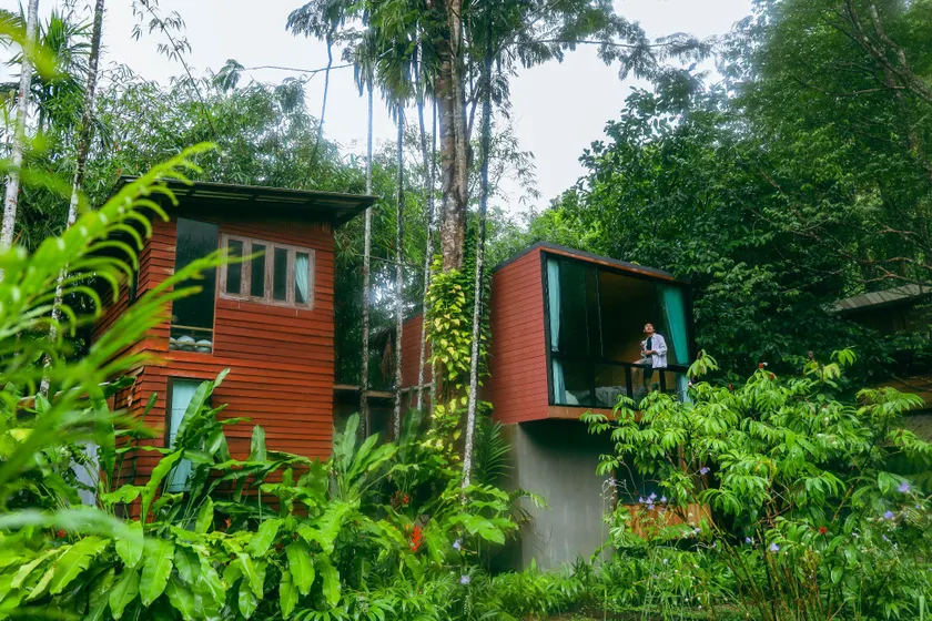 Bannaimong Treehouse - Image 1
