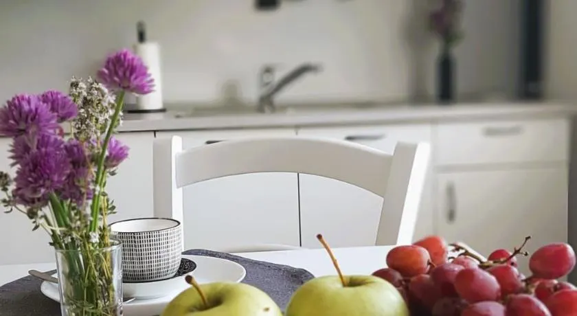 apartma Vila TARA - Image 1
