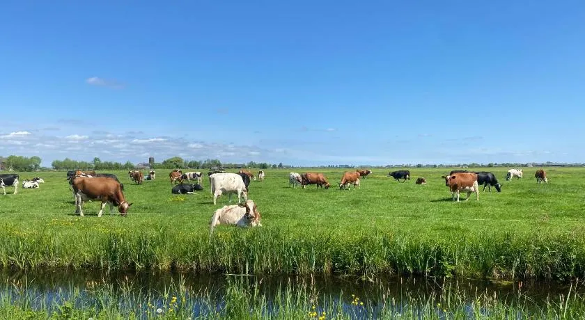 Geniet van de rust en de ruimte - Image 1