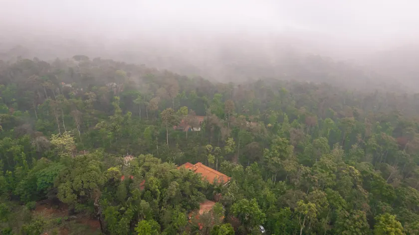 KINGMAKER'S Plantation with River Stream - Image 1