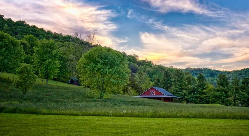 Mountain Springs Cabins - Image 1