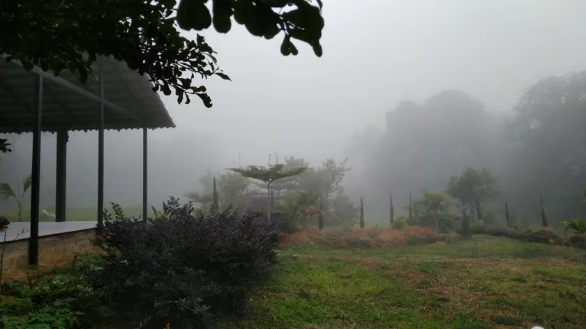 Wild River Cottage - Image 1
