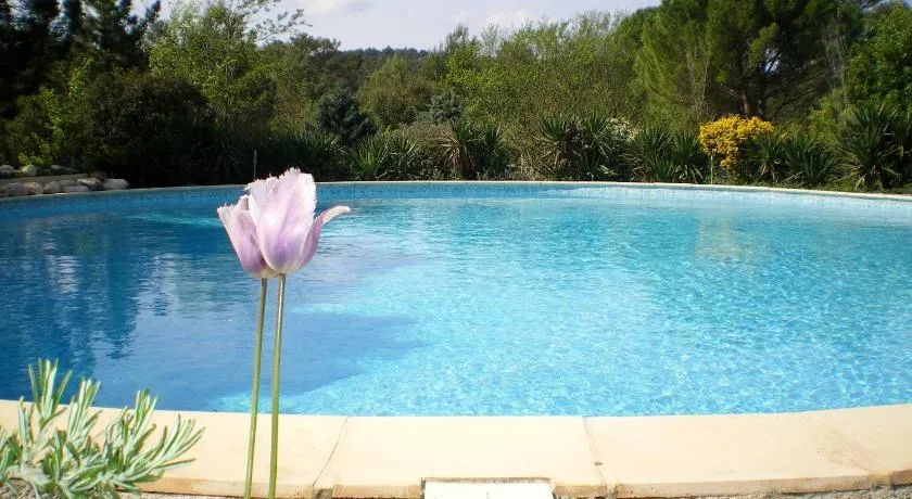 La Cigale - Image 1
