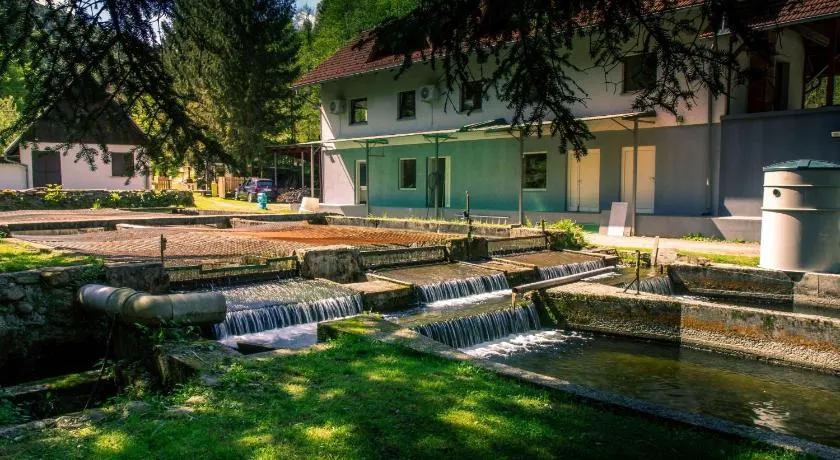Stara ribogojnica & Pohorska postrv - Image 1