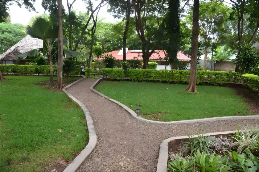 Honey Badger Lodge - Image 1