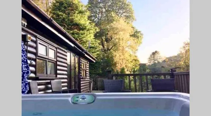 Mistletoe One Luxury Lodge with Hot Tub Windermere - Image 1