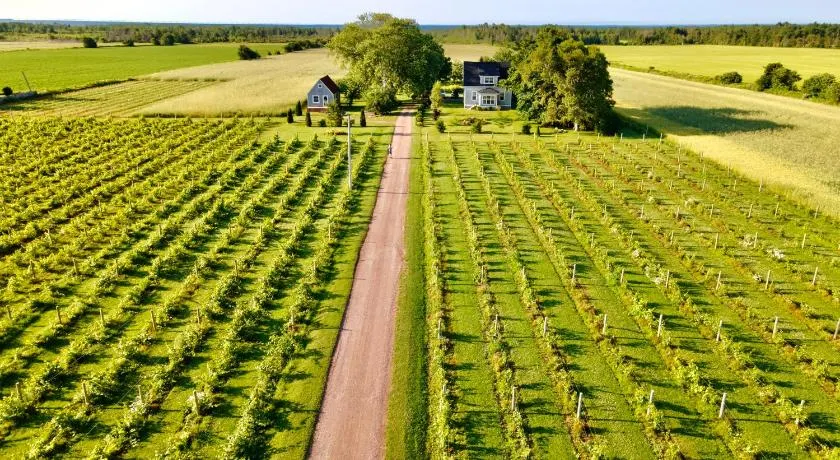 Sunbury Cove Winery - Image 1