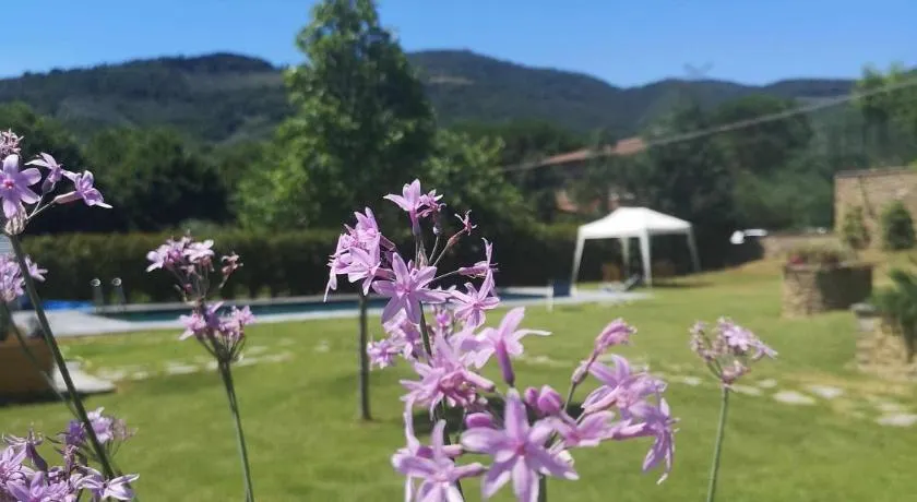 Alba Morus Bed & Breakfast, sentiti a casa nel cuore della Toscana - Image 1