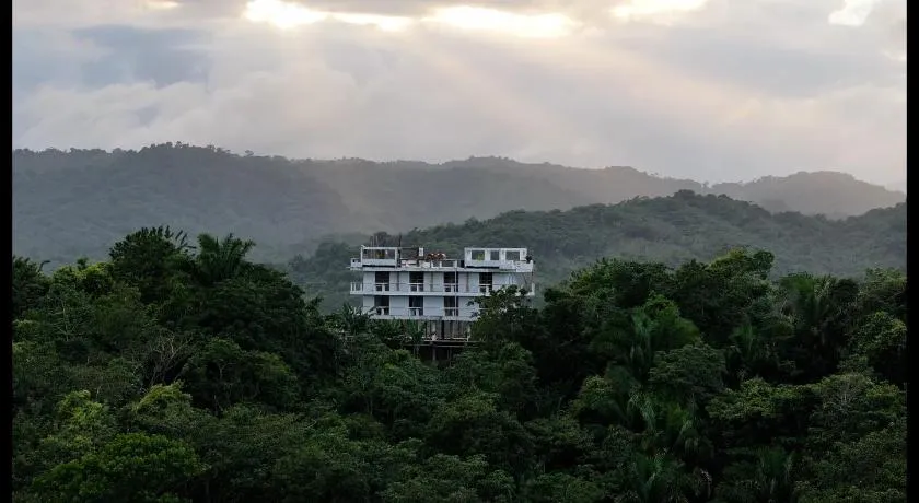 El Templo- Jungle Mirador - Image 1