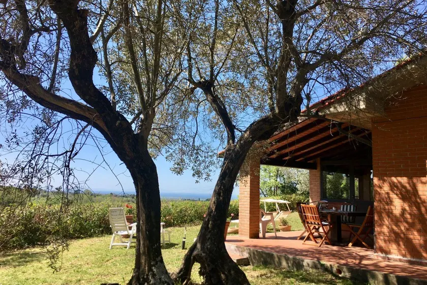 Cottage Gaia with sea view, fenced garden by ToscanaTour - Image 1
