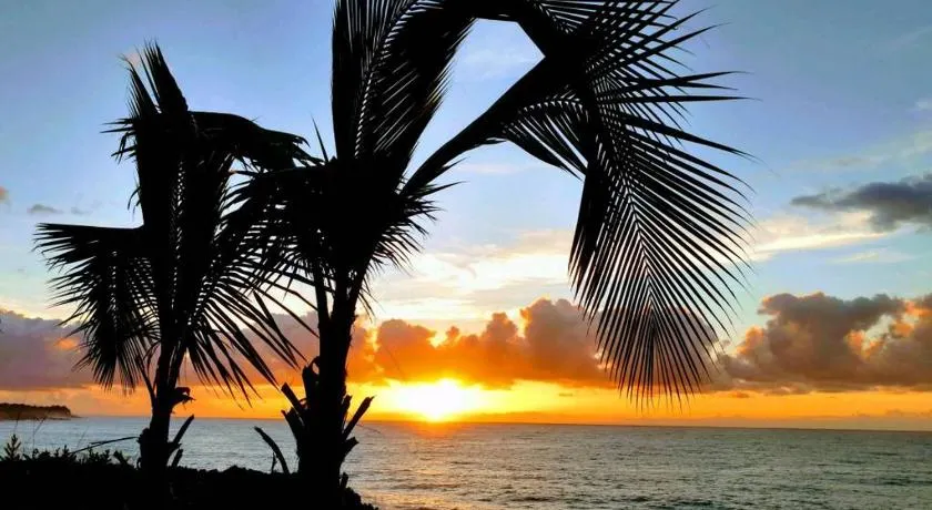 Pahoa Paradise Palms - Image 1