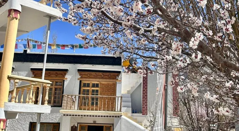 Zambala guest house - Image 1