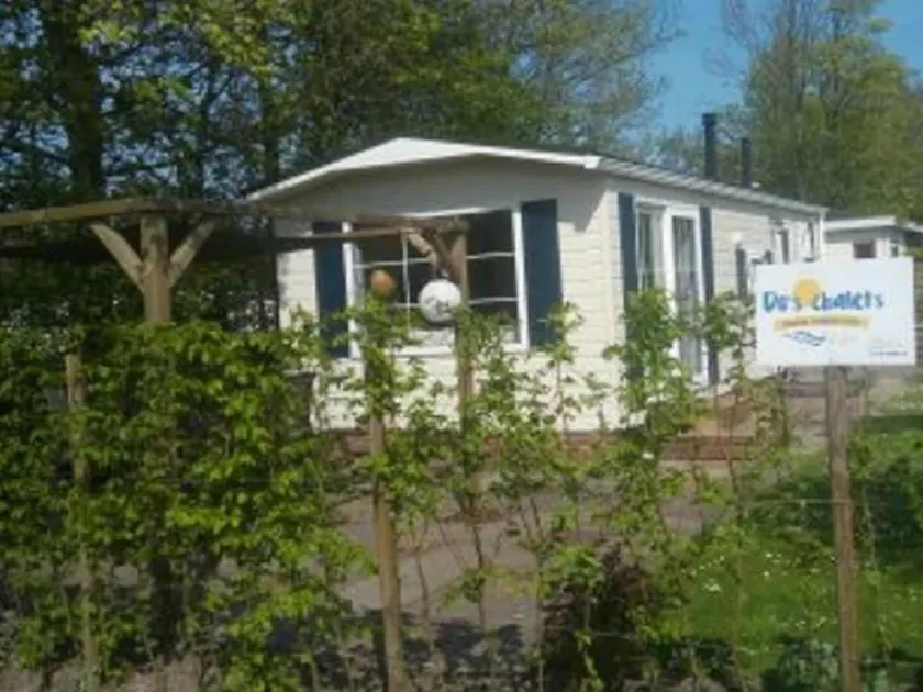 Hut in Baarland with swimming pool - Image 1